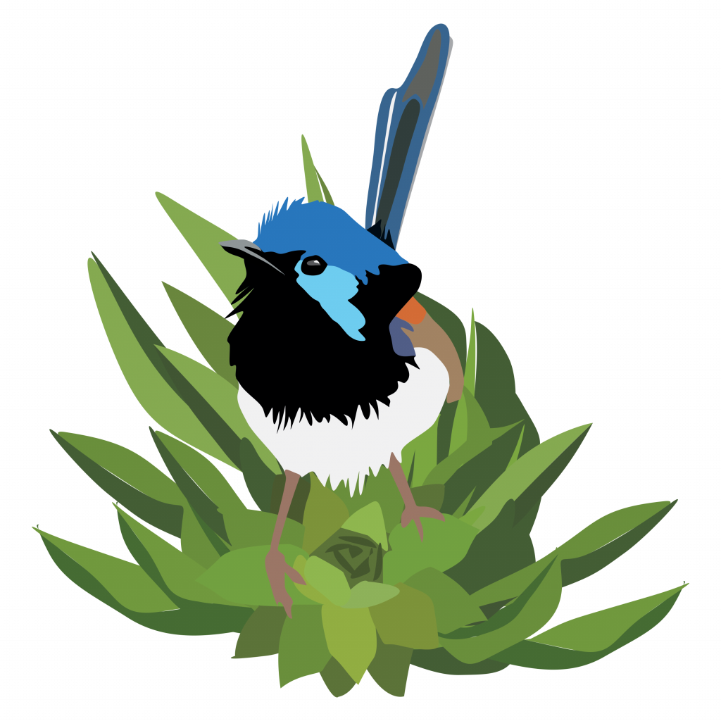 Donate Aussie Bird Count