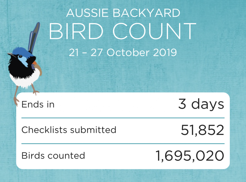 Backyard Blog Aussie Backyard Bird Count