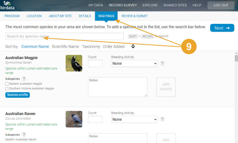 Screenshot of Sightings page showing how to search by species name
