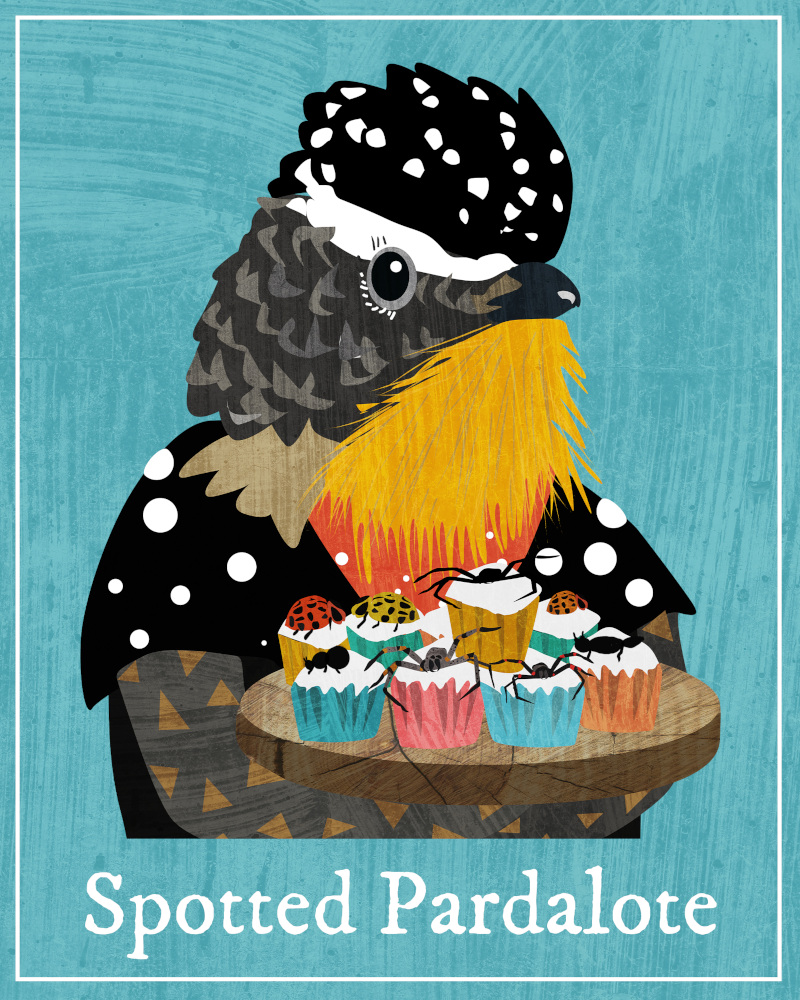 illustration of a spotted pardalote showing the head and shoulders. It's carrying a tray of cupcakes topped with insects.