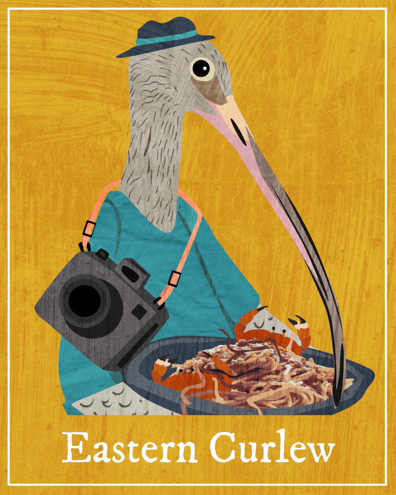 An illustration of an eastern curlew, a grey-brown bird with a long downcurving bill. It's wearing a hat, has a camera strapped to its chest, and is carrying a plate of worms and crabs