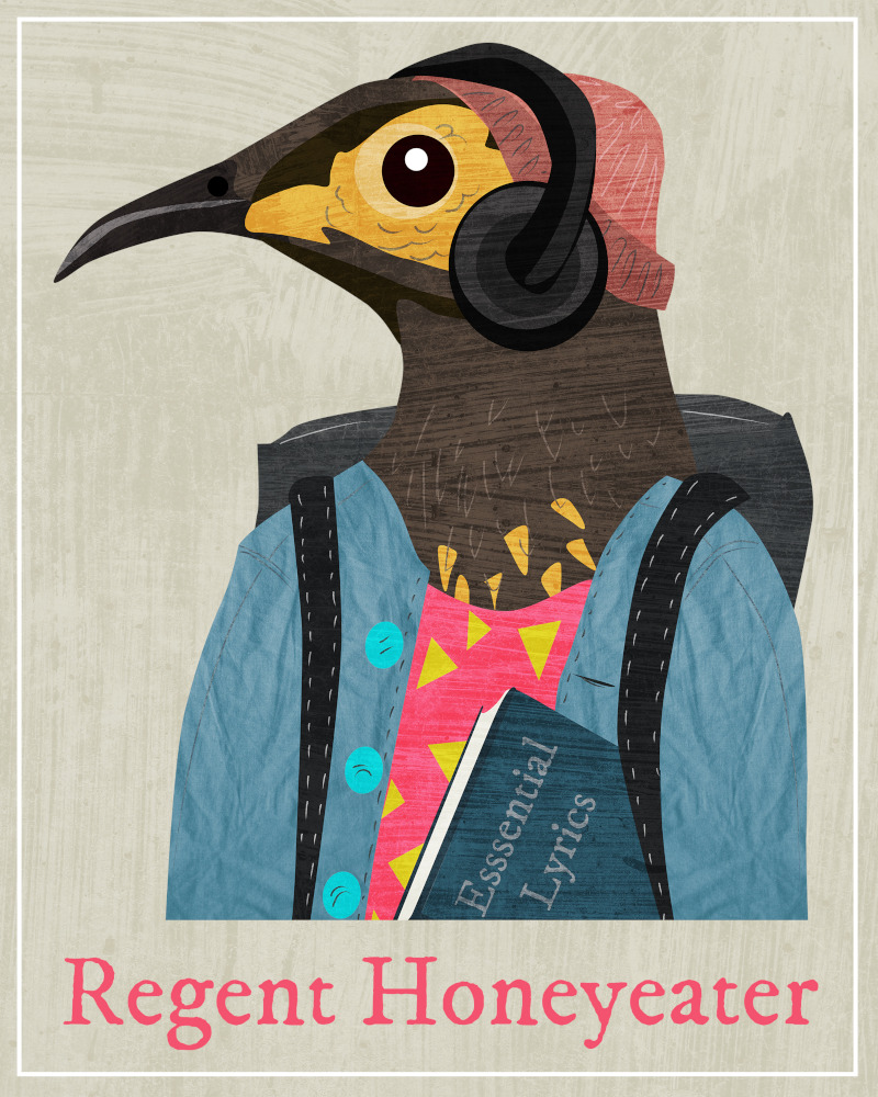 An illustration of a regent honeyeater. It's wearing a beanie, headphones, and a backpack, and carrying a book of song lyrics