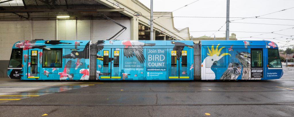 Photo: side 1 of an Aussie Backyard Bird Count themed tram. The tram is covered in illustrations of birds - Galahs, Sulphur-crested Cockatoos,  Yellow-tailed Cockatoos, a Tawny Frogmouths. The background of the tram is a bright aqua-blue. There is text that reads "Count the birds that are counting on you; Join the bird count" with a link to the website. 