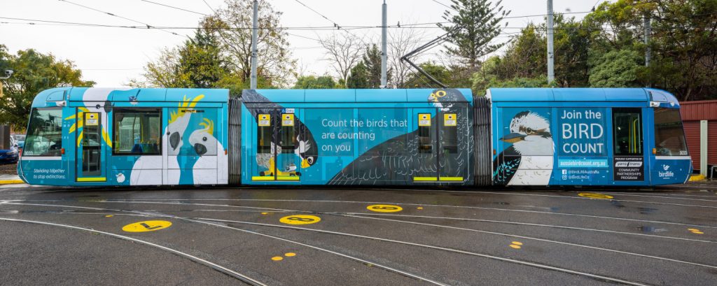 Photo: side 1 of an Aussie Backyard Bird Count themed tram. The tram is covered in illustrations of birds - Sulphur-crested Cockatoos, Peregrin Falcons, a Laughing Kookaburra, and Varigated Fairy-Wrens. The background of the tram is a bright aqua-blue. There is text that reads "Count the birds that are counting on you; Join the bird count" with a link to the website. 