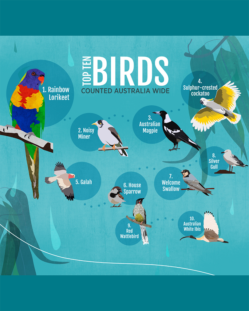 2022 Results Aussie Bird Count