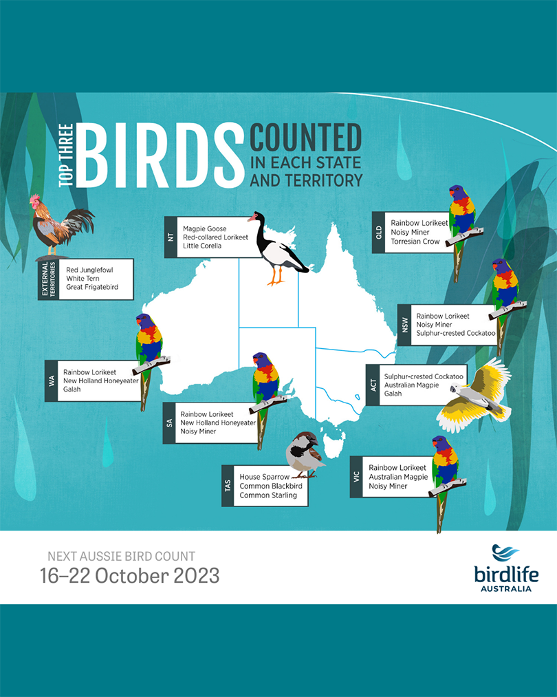 2022 Results Aussie Bird Count